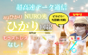 ピカピカ光回線